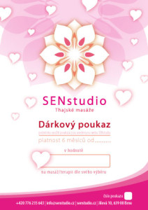 SEN-studio-Poukaz-2014-ZAMILOVANY